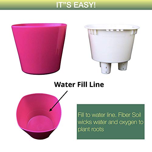 Window Garden – Aquaphoric Self Watering Mini Planter Pots (3 Pack) – Grow On Indoor Sill. Perfect for Potting Small Plants, Herbs, African Violets, Succulents, or Start Seedlings. - Thumbnail 2