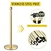 Vevor Velvet Ropes and Stanchion Post with Ball Top and Four Way Connection for Crowd Control Barriers, Safety, and Protection, Gold