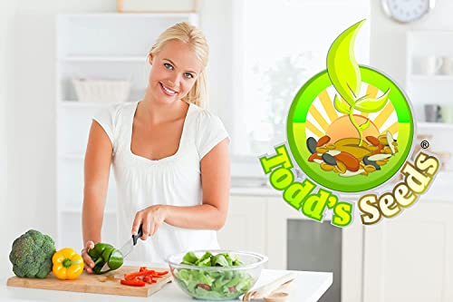 Todd's Seeds Sprouting Seed Mix; Broccoli, Radish, Alfalfa, Non-Gmo, Chemical Free, High Germination (1/2 Pound) #TOP5