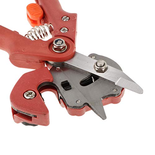 Homyl Berçário Vermelho Enxertia Ferramenta Podador De árvore Ferramentas De Corte Para Galho De Gal