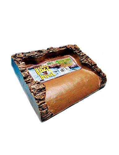 T-Rex Reptile Terrarium Décor - Water's Edge Bowl