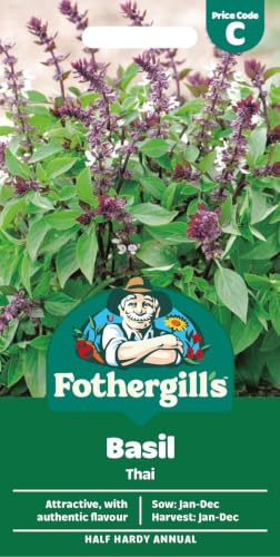 Fothergills Basil Thai Vegetable Seeds 300 Seeds Sow: Jan-Dec Green