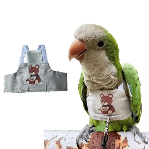 Bird Flight Harness Vest, Parrot Flight Suit with Leash for Parakeets Cockatiels, Bird Flying Clothes with Rope and Handle for Outdoor Activities Training (Bear Without Leash,Large)