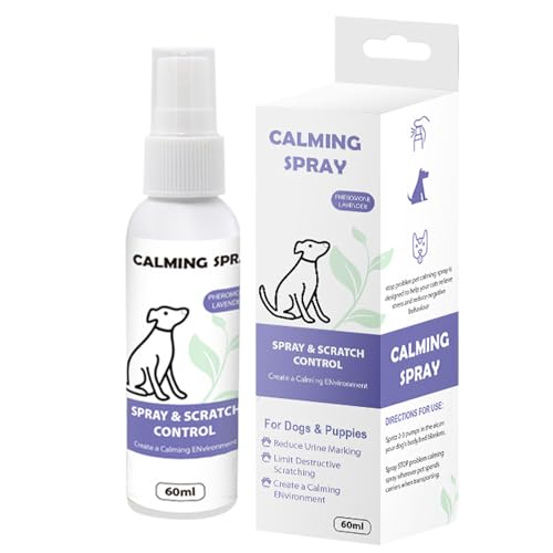 spLÉt | Lbg L~O Xv[ L  XgXy tF VRAGLX k [Y}[ S Ƌ J[e J[ybg ی ~h~ ݂h~  g[jO ⏕ s a@ ړ 2.0