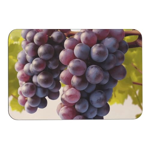 Tapis absorbant l'eau pour l'intérieur et l'extérieur - 2