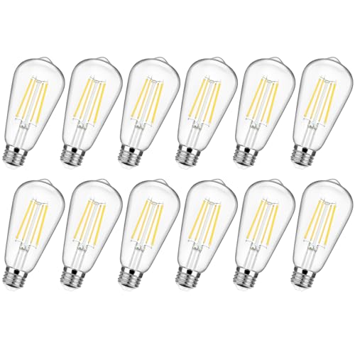 12-Pack Vintage LED Edsion Bulbs 100W Equivalent, E26 Base Bulb 8W 5000K