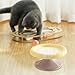 Bothyi Ceramic Raised Cat Bowl Waterer and Feeder Non Slip Wide Mouth for Kitten Puppy, Neck Protection, Pet Food Dish, Small Yellow Violet