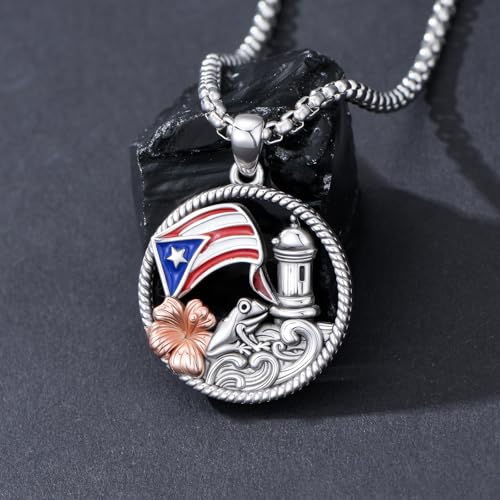 Puerto Rico Necklace 925 Sterling Silver Coqui Frog Flag Pendant Puerto Rico Jewelry Gifts for Women Puerto Ricans3