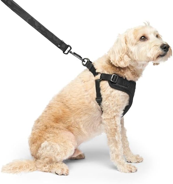 Canada Pooch Easy-On Step-in Dog Harness Black Small