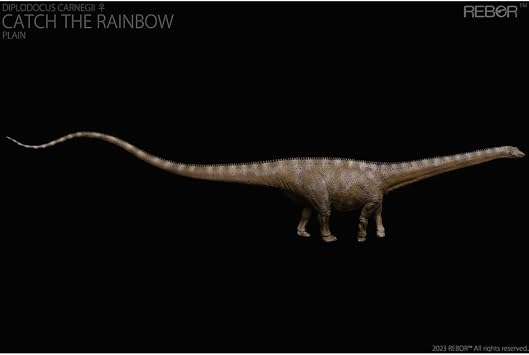 Everything Dinosaur Rebor Diplodocus carnegii Catch the Rainbow
