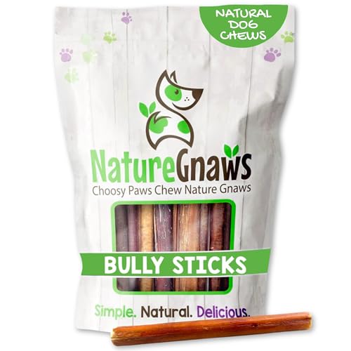 Image of Nature Gnaws Small Bully Sticks for Dogs 5-6 inch (5 Count) - Long Lasting for Light Chewers and Puppies - Natural Thin Beef Dog Chew Bones - Rawhide Free