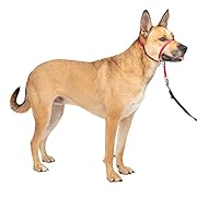 Нашийник PetSafe Gentle Leader с DVD за обучение