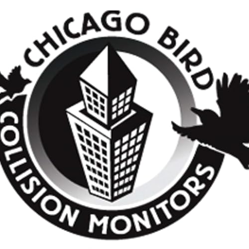 Annette Prince & Chicago Bird Collision Monitors