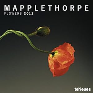 Robert Mapplethorpe 2012 Calendar