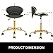 LUXMARS Rolling Salon Stool with Back, Set of 2 Saddle Chair Adjustable Swivel Chair for Massage Tattoo, Comfy Swivel Stool with Wheels for Beauty, Esthetician, Medical, Shop-Black