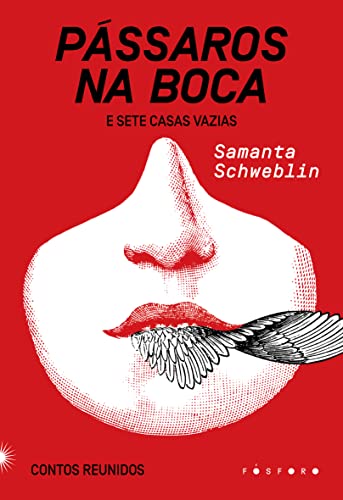 Pássaros na boca e Sete casas vazias:: Contos reunidos