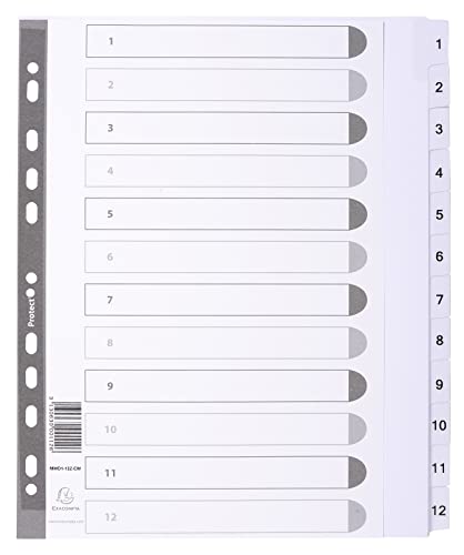 Exacompta - Indice Stampato A4 Extra Largo, 12 Parti”, In Mylar – Trasparente