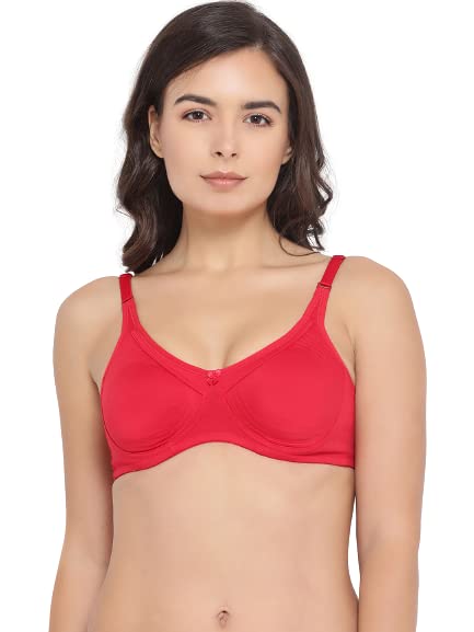 Image of Women Bra