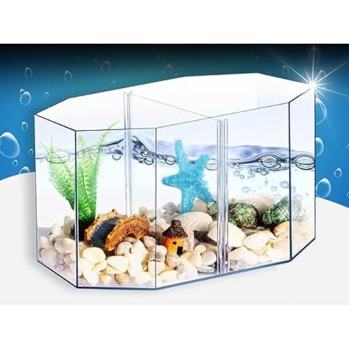 Image of Double Compartment Betta Fish Tank with Divider, 2 INCH Plant- 2,Acrylic Breeding Box for Fish, Shrimp and Jellyfish Colour May Vary (Tank)