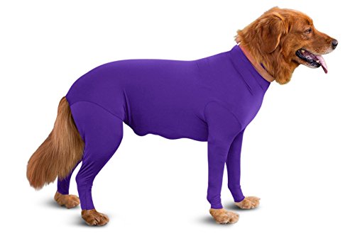 Image of shed Defender Purple pet mini