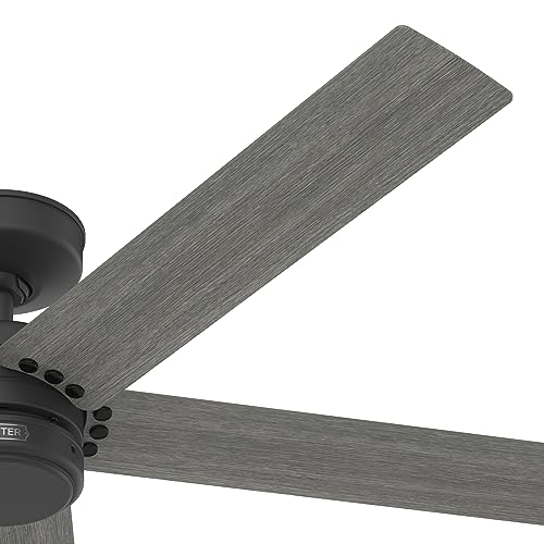 Image of Hunter Burton, Outdoor or Indoor, Ceiling Fan, 52 inch, Matte Black