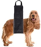 🐶【Material cómodo y duradero】: El cabestrillo para patas traseras del perro está hecho de nailon que es muy duradero para el apoyo de las patas traseras de perros pequeños, medianos y grandes. El arnés para perros de elevación trasera está forrado con un pelaje grueso que es muy esponjoso y cómodo para que lo use su perro, no irritará la parte inferior de su perro.