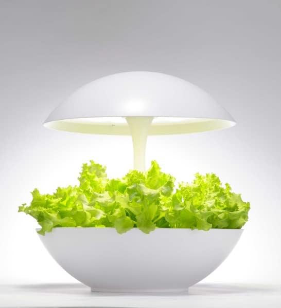 予約販売品 オリンピア照明 Led水耕栽培 植物育成器 灯菜 アカリーナ Akarina01 Oma01rn1 Rachelbaptista Com Br