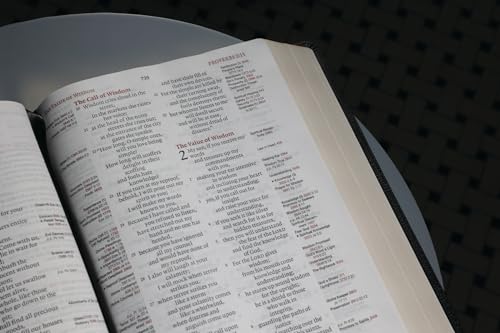 Esv, Thompson Chain-Reference Bible, Large Print, Leathersoft, Black, Red Letter: English Standard V