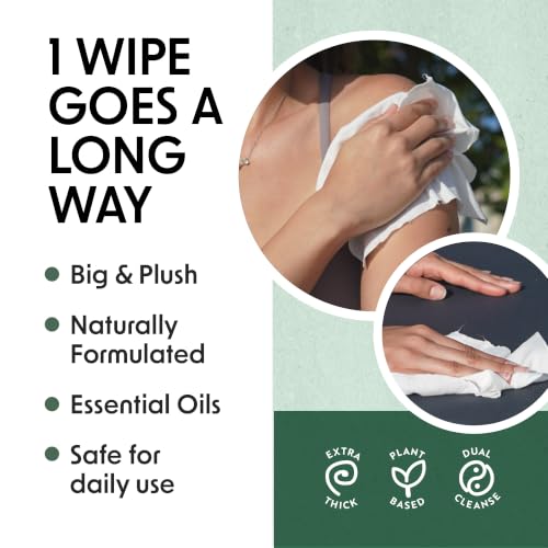 Image of Wipex Gym Cleaning Wipes Bundle - Get (1) 400ct Lemongrass Surface Wipes & (1) 225ct Body Cloths for After Workout, Plant-Based Fitness Equipment Wipes, Clean Surfaces & Mats and Peloton Bike