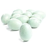 Factory Direct Craft Package of 36 Blue Speckled Robin Faux Eggs Easter Eggs for DIY Spring Displays and Easter Baskets
