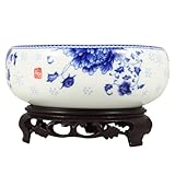 ibasenice Keramik Bonsai Pflanzschale ohne Loch Runder Hydrokultur Narzissen Topf mit Kunststoffsockel Flacher Blumentopf für Zimmerpflanzen Ø 14–16cm Weiß