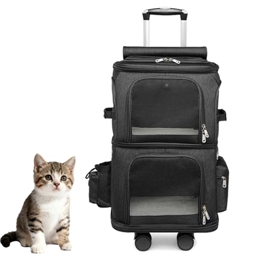 Gyrophoric 2i L[ ybgJ[g @\݌v ʋCbV&y s/ʉ@/U ELΉ ĤoK ybgL[obN 2C L(Black)