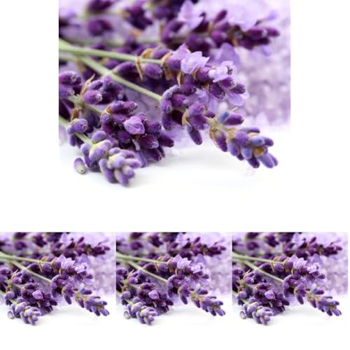 OliveNation Nartural Lavender Extract - 4 oz - Perfect for cakes, whipped creams, teas, chocolates and other delectable desserts - baking-extracts-and-flavorings (Pack of 4)