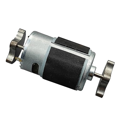 Moteur vibrant 36mm RS-555 double tête anti-usure avec roulement à billes avant DC 6V