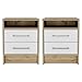 Home Square Eter Engineered Wood Nightstand in White & Light Oak - Set of 2