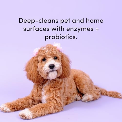 Image of Clean Revolution SuperCharged All Purpose Cleaner Refill with Smart Probiotic + Enzyme Complex, Multi-Surface Kitchen Bathroom & Floor Cleaner, Seaside Lavender, 18 oz (Pack of 1)