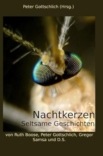 Nachtkerzen Seltsame Geschichten