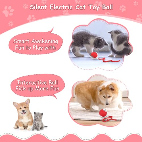 Katzenspielzeug Elektrisch Katzenball mit LED Licht, Interaktives Katzenspielzeug Katzenball, 360-Grad-Ball Automatischer Modellierung Katzenball mit Seil, USB Wiederaufladbarer für Katzen – Bild 3