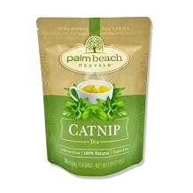 Catnip Tea - Pure Herbal Tea Series by Palm Beach Herbal Tea Company 30 Tea Bags 100% Natural