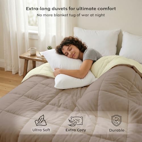 Image of AYKA Reversible AC Comforter 150 GSM Lightweight Microfiber Summer Blanket for Single Bed (60x90 Inches) | Soft Cooling Quilt, Breathable All Season Duvet for AC Room | Taupe & Cream