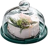 Kuppel Tortenständer mit Deckel Home Kuchenplatte Dekoration Obsttablett und Glasdeckel Restaurant Sandwich Staubschutz Kuppel Kuchenständer Dessertbesteck Tablett (Farbe: 29,3 x 29,3 x 18,5 cm)