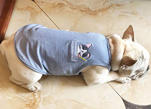 Amazon | 愛犬とお揃い Tシャツ 犬服 犬とおそろい お散歩 ドッグ