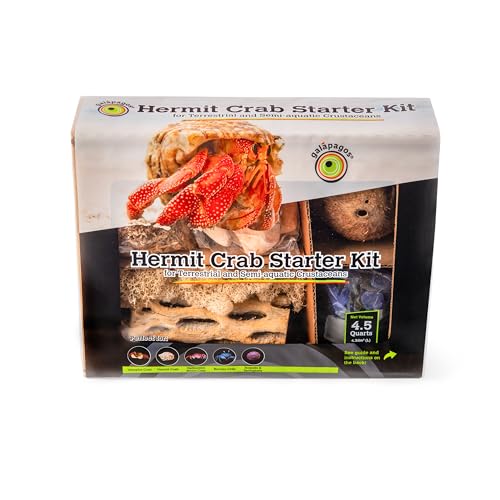 Galápagos (05355) Hermit Crab Starter Kit - Complete DIY Habitat Essentials for Terrestrial and Semi-Aquatic Crustaceans, Includes Cholla Wood, Coconut Hut, Moss, Stones and More, 4.5 Quarts
