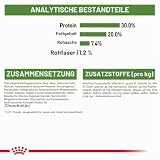 ROYAL CANIN Outdoor | 400 g | Trockenfutter für Katzen | Für ausgewachsene Katzen (vom 1. bis zum 7. Lebensjahr) mit häufigem Freilauf und regelmäßiger Bewegung