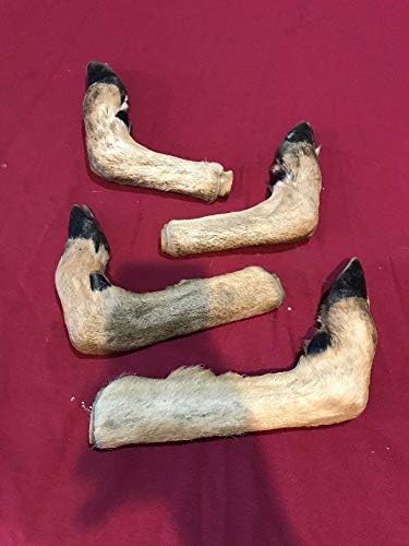Deer Feet Cured Knife Handle Gun Rack Witch Craft Animal Mount Antler Art (4 Pack)