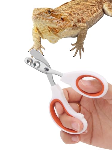Stainless Steel Bearded Dragon Nail Clippers,Lizard Nail Clippers,Bearded Dragon Supplies,Bearded Dragon Nail Scissors for Small Reptiles,Turtle,Chameleon,Iguana，Hedgehog（Orange）