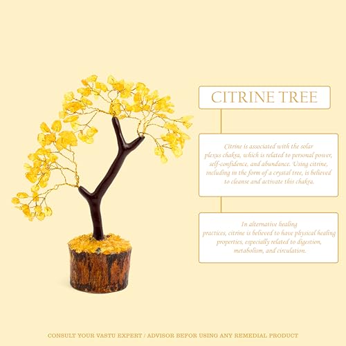 Image of Crystal Natural Citirine Tree | Size 9-10 Inch | 100 Beads | Natural Citrine Tree for Reiki Healing, Vastu Correction, Prosperity and Increased Creativity