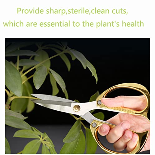 Horsvill Indoor Plant Shears and Garden Scissors, Japanese SK5 Stainless Steel for Grapes Flowers, Herbs, Bonsai, and Grass - Image 4