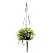 Wildwood MK-42MG 3 Leg Macrame Plant Holders, Moss Green, 42-Inch