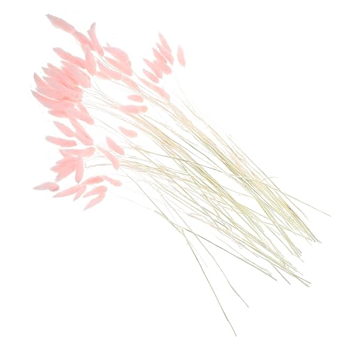 RORPOIR 120pcs Dried Tail Grass Bouquet Natural Dried Flowers for Decor Beautiful Arrangement Props for Weddings Parties Home Decoration All Seasons